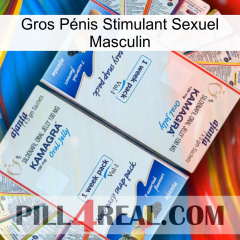 Gros Pénis Stimulant Sexuel Masculin kamagra1